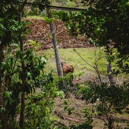 Viva Nature Garnier エクステリア 写真